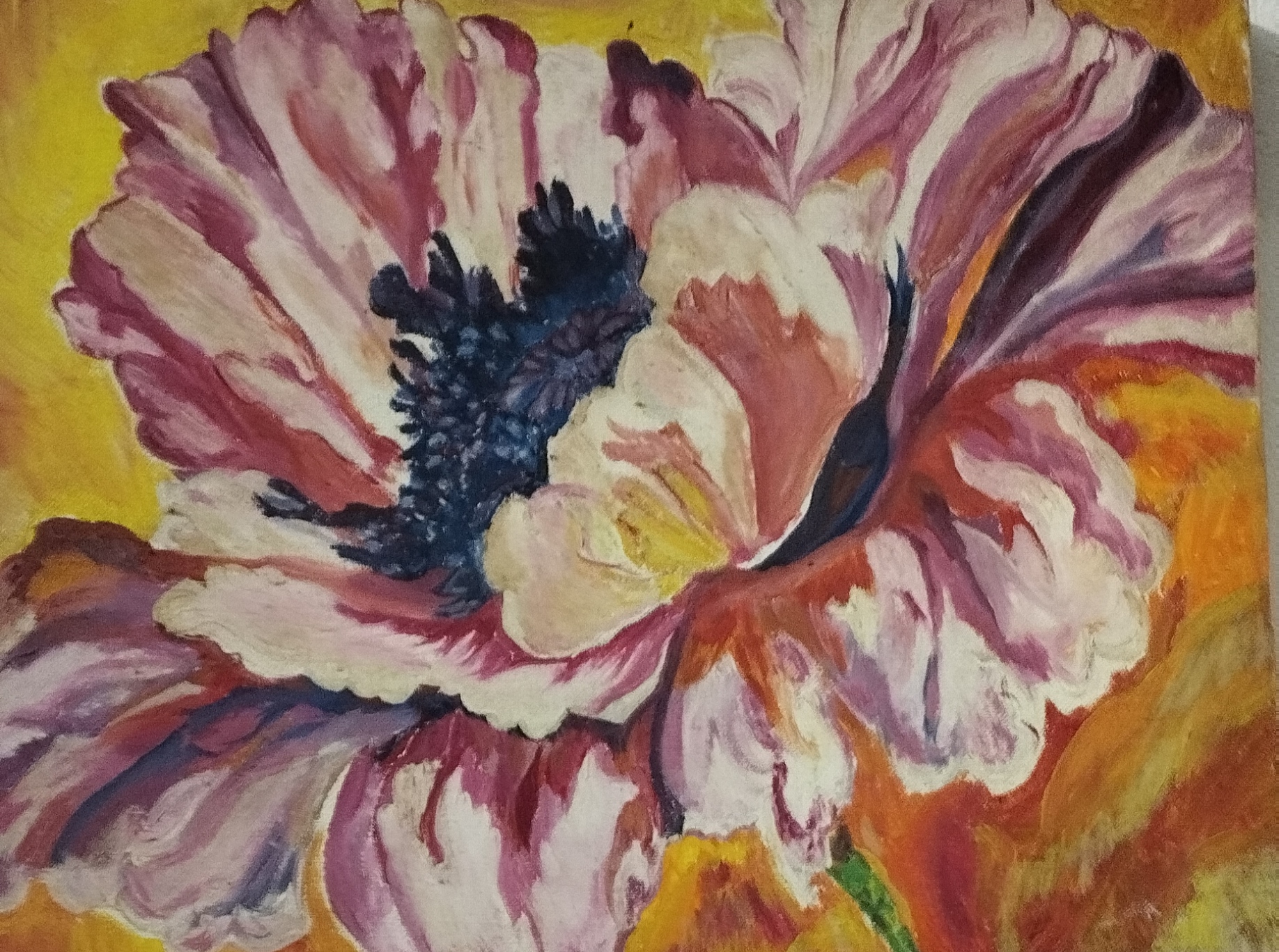 Pink Poppy, Oil On Canvas.