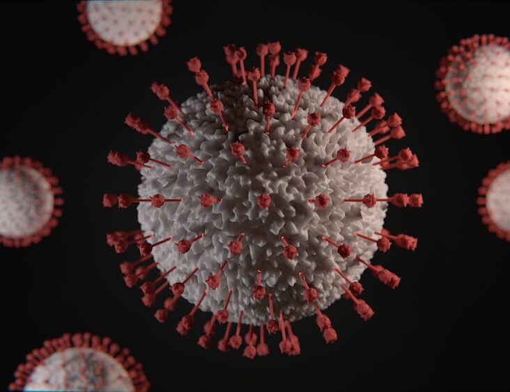Corona virus. pandemic 2020